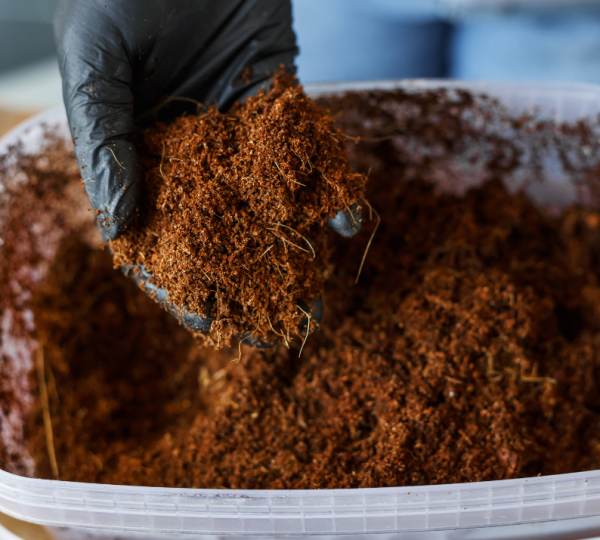 Fertilisants organiques