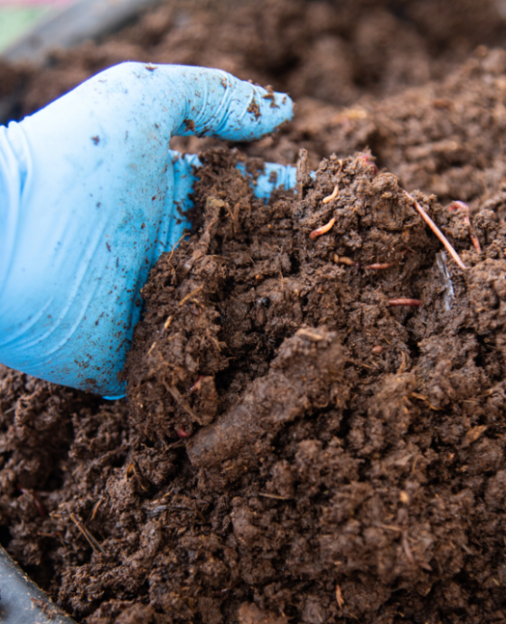 Fertilisant organiques