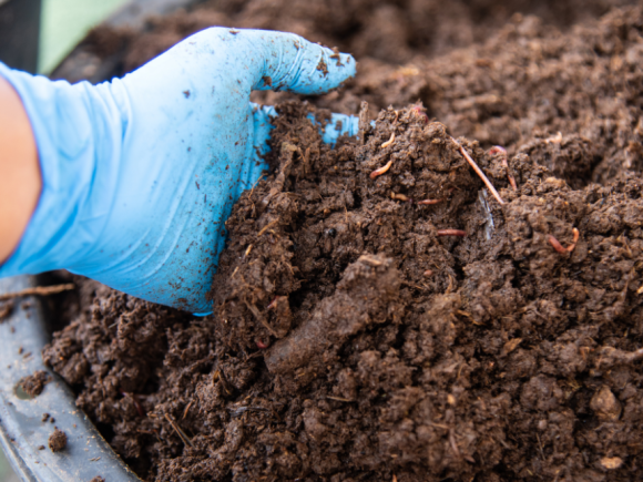 Fertilisants organiques